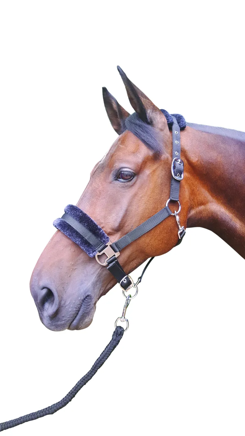 Hy Equestrian Faux Fur Padded Head Collar With Lead Rope - Black